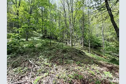 Tbd Spice Creek Road, Banner Elk, NC 28604 - Photo 15