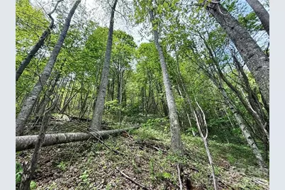 Tbd Spice Creek Road, Banner Elk, NC 28604 - Photo 7