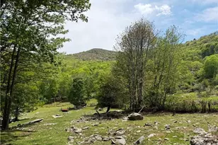 Tbd Spice Creek Rd, Banner Elk, NC 28604 - Photo 1
