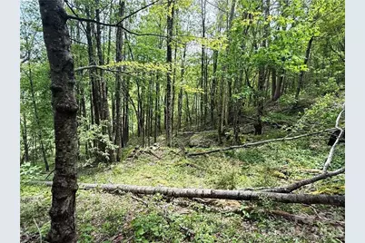 Tbd Spice Creek Road, Banner Elk, NC 28604 - Photo 11
