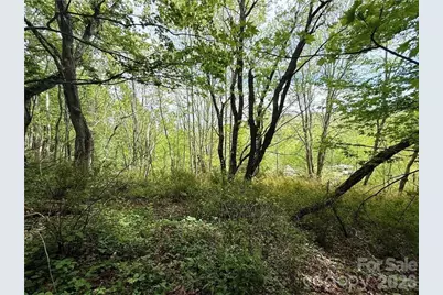 Tbd Spice Creek Road, Banner Elk, NC 28604 - Photo 17