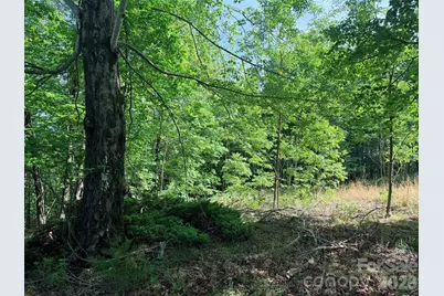 Lot 8 High Rock Ridge, Lake Lure, NC 28746 - Photo 7