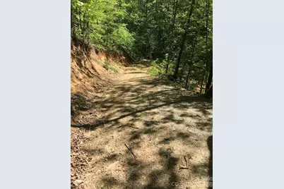 00 Charleston Harbor Drive #11, Saluda, NC 28773 - Photo 5