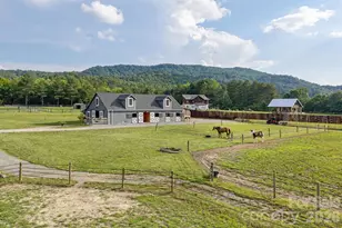 261 & 277 Bent River Farm Rd, Pisgah Forest, NC 28768 - Photo 39