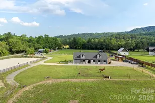 261 & 277 Bent River Farm Rd, Pisgah Forest, NC 28768 - Photo 37
