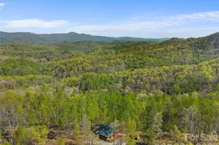 178 Table Rock Dr, Saluda, NC 28773 - Photo 39