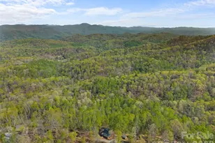 178 Table Rock Dr, Saluda, NC 28773 - Photo 43