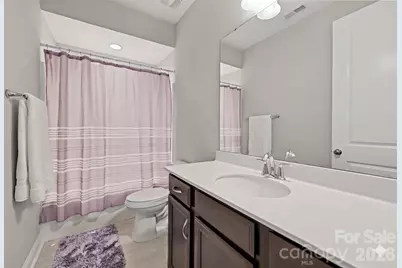 17403 Saranita Lane, Charlotte, NC 28278 - Photo 33
