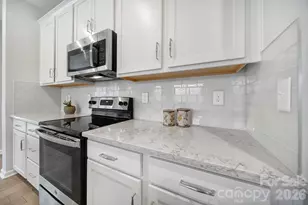 516 Madison Falls Ct, Fort Mill, SC 29708 - Photo 9