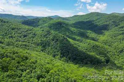 1620 North Haven Drive #CC18, Black Mountain, NC 28711 - Photo 9