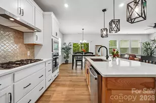 8137 Franklin Trl St, Charlotte, NC 28227 - Photo 9