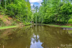 360 Shadow Ln, Green Mountain, NC 28740 - Photo 43