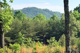 Lot 11 Brookside Pkwy, Lake Lure, NC 28746 - Photo 1