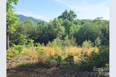 Lot 11 Brookside Parkway, Lake Lure, NC 28746 - Photo 3