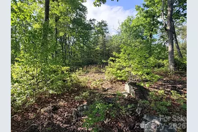 Lot 11 Brookside Parkway, Lake Lure, NC 28746 - Photo 5