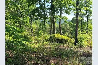 Lot 11 Brookside Parkway, Lake Lure, NC 28746 - Photo 11