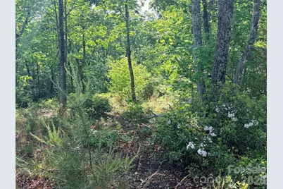 Lot 11 Brookside Parkway, Lake Lure, NC 28746 - Photo 7