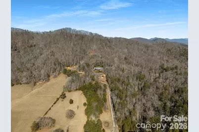 56 Great Horned Owl Road, Candler, NC 28715 - Photo 29