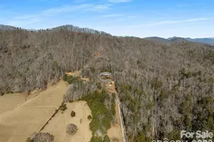 56 Great Horned Owl Rd, Candler, NC 28715 - Photo 29