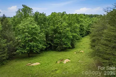 1350 Lavender Road, Old Fort, NC 28762 - Photo 13