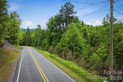 1350 Lavender Road, Old Fort, NC 28762 - Photo 3