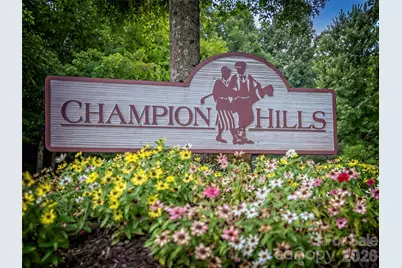 4 Lacoste Drive, Hendersonville, NC 28739 - Photo 41