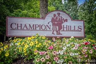 4 Lacoste Dr, Hendersonville, NC 28739 - Photo 41