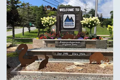 301 Pinnacle Inn Road #3310, Beech Mountain, NC 28604 - Photo 41
