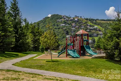 301 Pinnacle Inn Road #3310, Beech Mountain, NC 28604 - Photo 43