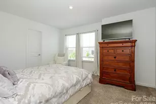 14129 Canemeadow Dr, Charlotte, NC 28278 - Photo 21