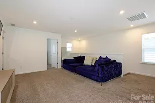 14129 Canemeadow Dr, Charlotte, NC 28278 - Photo 23