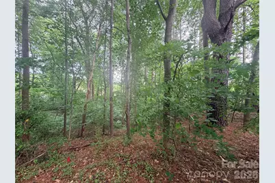 Lot 12 Sheepnose Drive, Lake Lure, NC 28746 - Photo 7