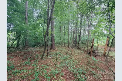 Lot 12 Sheepnose Drive, Lake Lure, NC 28746 - Photo 5