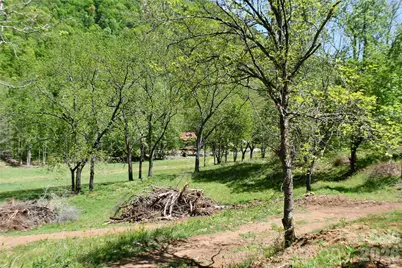 8200 Caney Fork Road, Cullowhee, NC 28723 - Photo 7