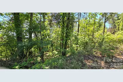 Lot 7 Pinnacle Parkway, Union Mills, NC 28167 - Photo 9