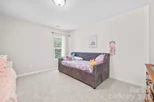 8724 Gray Willow Rd, Charlotte, NC 28227 - Photo 19