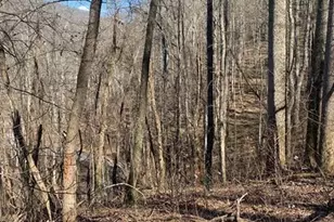 Lot 3 Cedar Mountain Rd, Asheville, NC 28803 - Photo 1