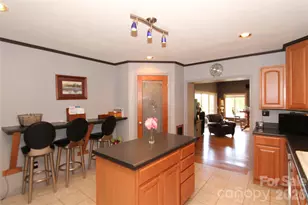 231 Allen Rd, East Flat Rock, NC 28726 - Photo 13