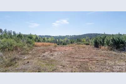 768 Bryant Road, Morganton, NC 28655 - Photo 3