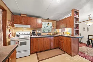 323 Carlyle Rd, Troutman, NC 28166 - Photo 3