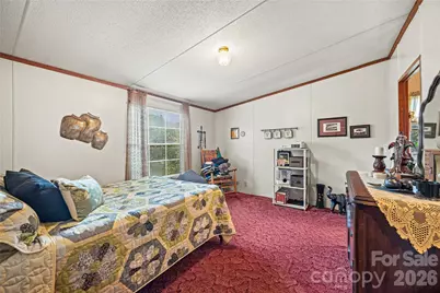 323 Carlyle Road, Troutman, NC 28166 - Photo 15