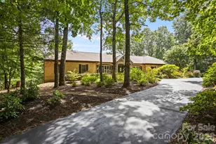 163 Old Poplar Ln, Flat Rock, NC 28731 - Photo 47
