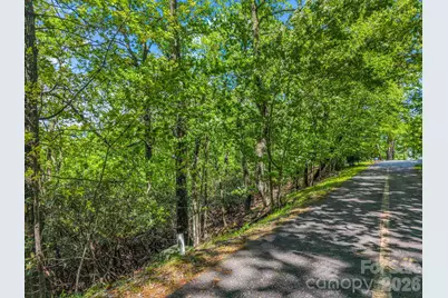 99999 Laurel Drive #27, 28, 29, Mills River, NC 28759 - Photo 3