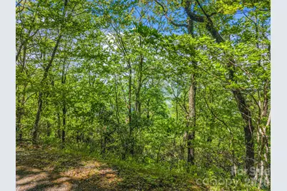 99999 Laurel Drive #27, 28, 29, Mills River, NC 28759 - Photo 7