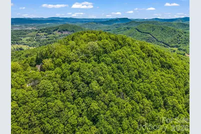99999 Laurel Drive #27, 28, 29, Mills River, NC 28759 - Photo 13
