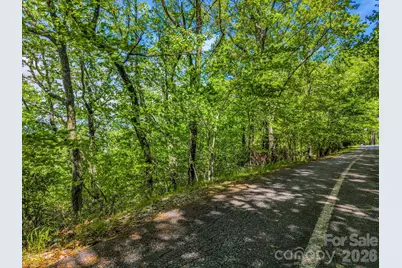 99999 Laurel Drive #27, 28, 29, Mills River, NC 28759 - Photo 5