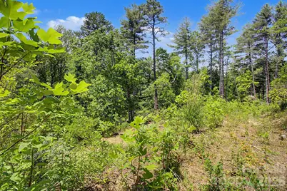 1355 Brookside Camp Road, Hendersonville, NC 28792 - Photo 21