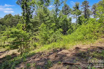 1355 Brookside Camp Road, Hendersonville, NC 28792 - Photo 3