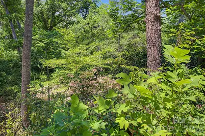 1355 Brookside Camp Road, Hendersonville, NC 28792 - Photo 25