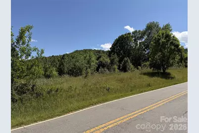 99999 S Morgan Branch Road, Candler, NC 28715 - Photo 3